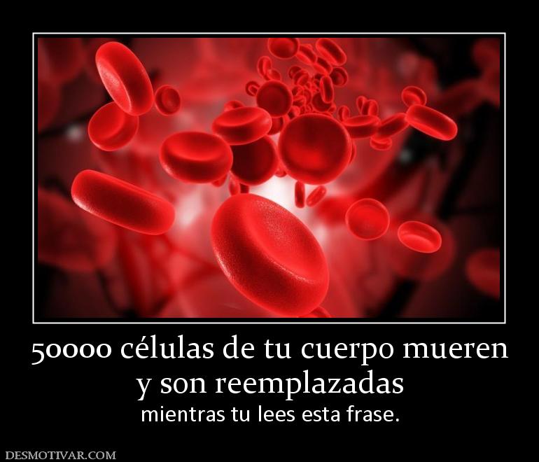 50000 células de tu cuerpo mueren y son reemplazadas mientras tu lees esta frase.