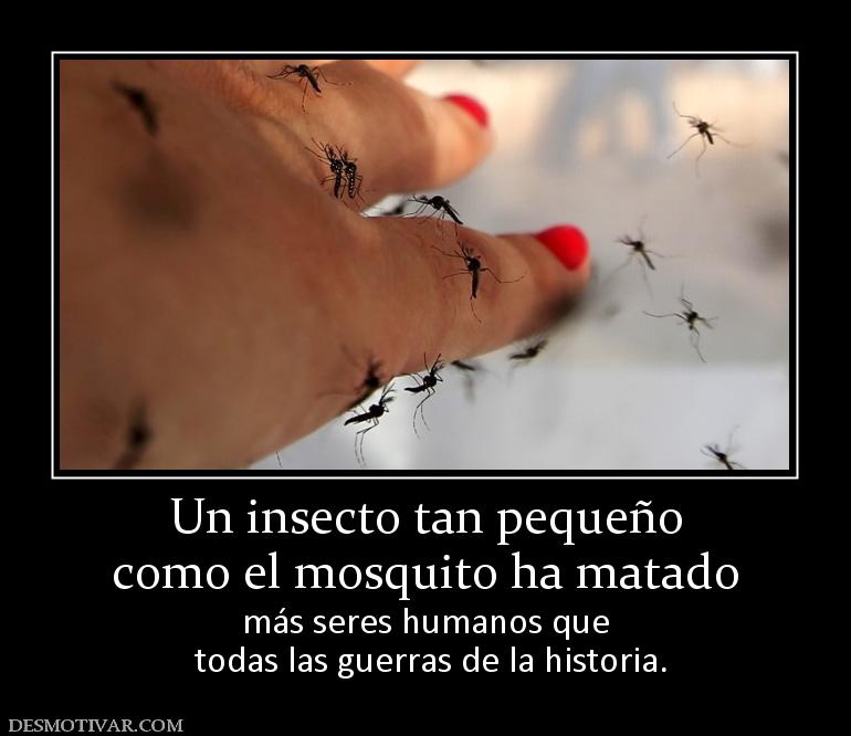 Un insecto tan pequeño como el mosquito ha matado más seres humanos que  todas las guerras de la historia.