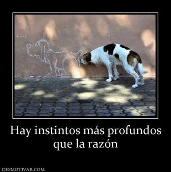 Hay instintos más profundos que la razón