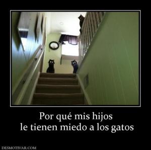 Por qué mis hijos  le tienen miedo a los gatos