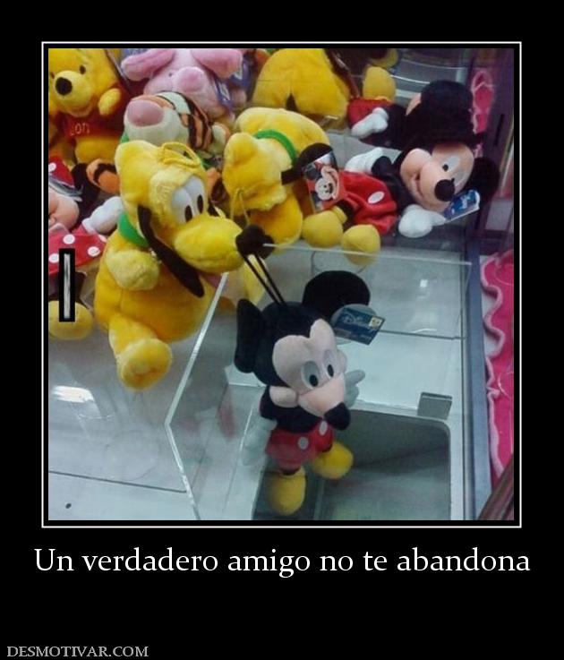 Un verdadero amigo no te abandona