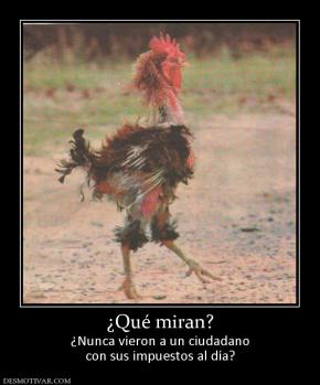 ¿Qué miran? ¿Nunca vieron a un ciudadano con sus impuestos al día?