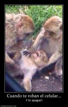 Cuando te roban el celular... Y lo apagan!