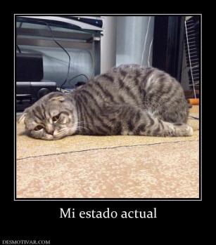 Mi estado actual
