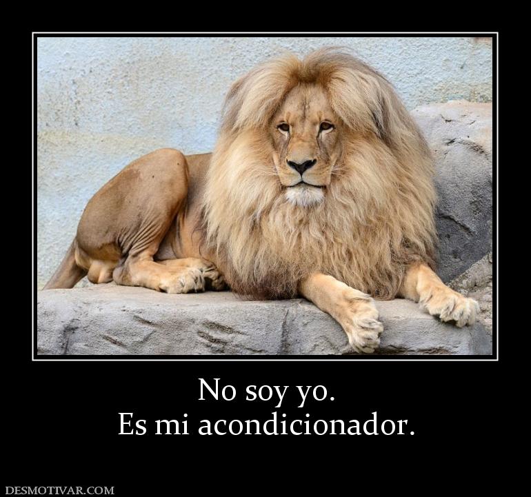 No soy yo. Es mi acondicionador.