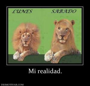 Mi realidad.