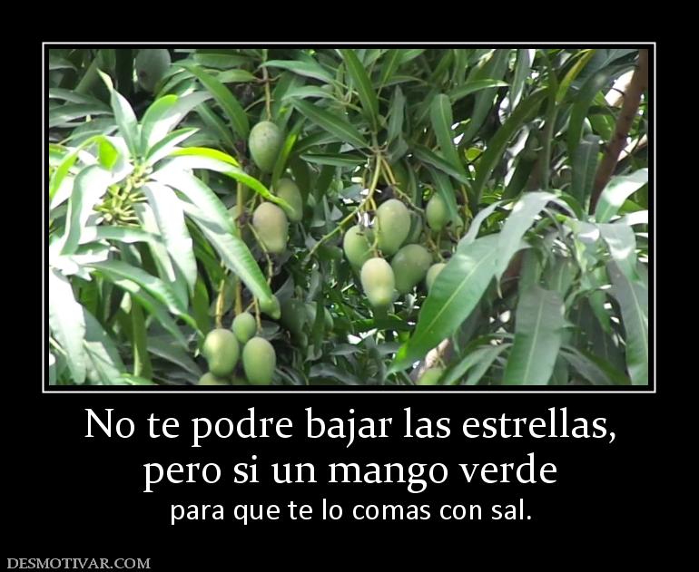 No te podre bajar las estrellas, pero si un mango verde para que te lo comas con sal.