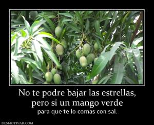 No te podre bajar las estrellas, pero si un mango verde para que te lo comas con sal.