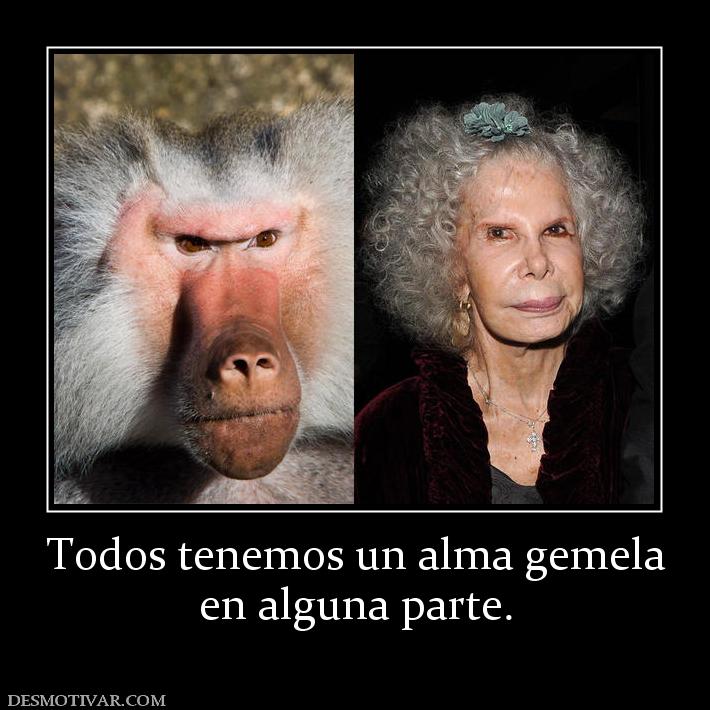 Todos tenemos un alma gemela en alguna parte.