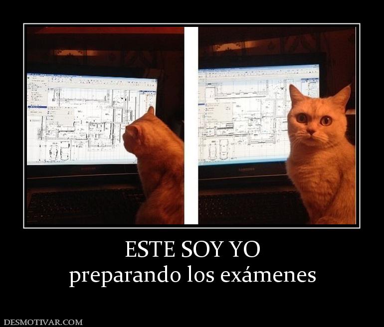 ESTE SOY YO preparando los exámenes