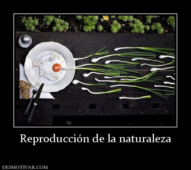 Reproducción de la naturaleza