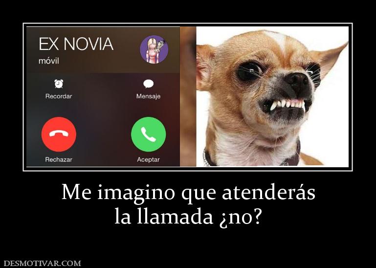 Me imagino que atenderás la llamada ¿no?