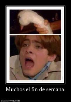 Muchos el fin de semana.