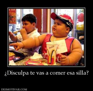 ¿Disculpa te vas a comer esa silla?