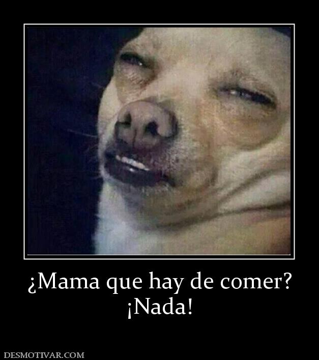 ¿Mama que hay de comer? ¡Nada!