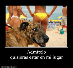 Admítelo quisieras estar en mi lugar