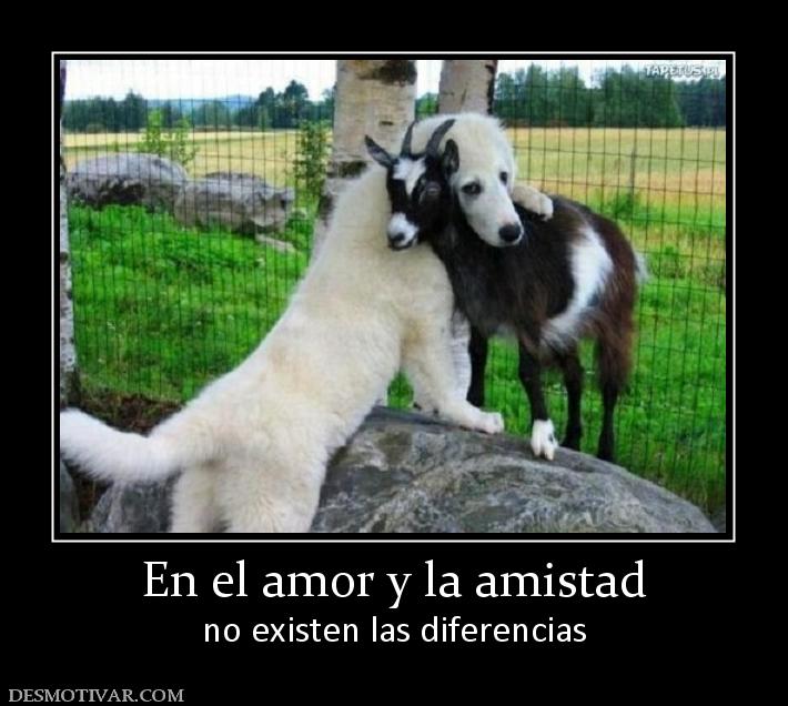 En el amor y la amistad no existen las diferencias