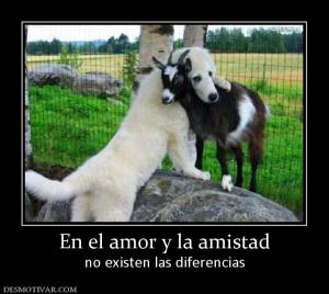 En el amor y la amistad no existen las diferencias