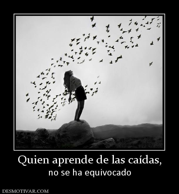 Quien aprende de las caídas, no se ha equivocado
