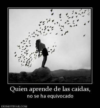 Quien aprende de las caídas, no se ha equivocado