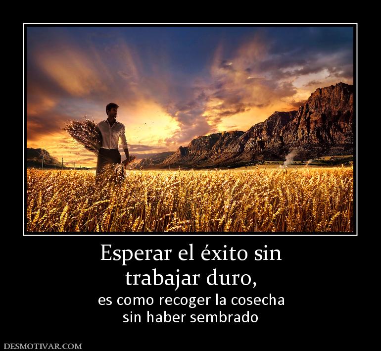 Esperar el éxito sin trabajar duro,  es como recoger la cosecha sin haber sembrado