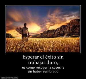 Esperar el éxito sin trabajar duro,  es como recoger la cosecha sin haber sembrado