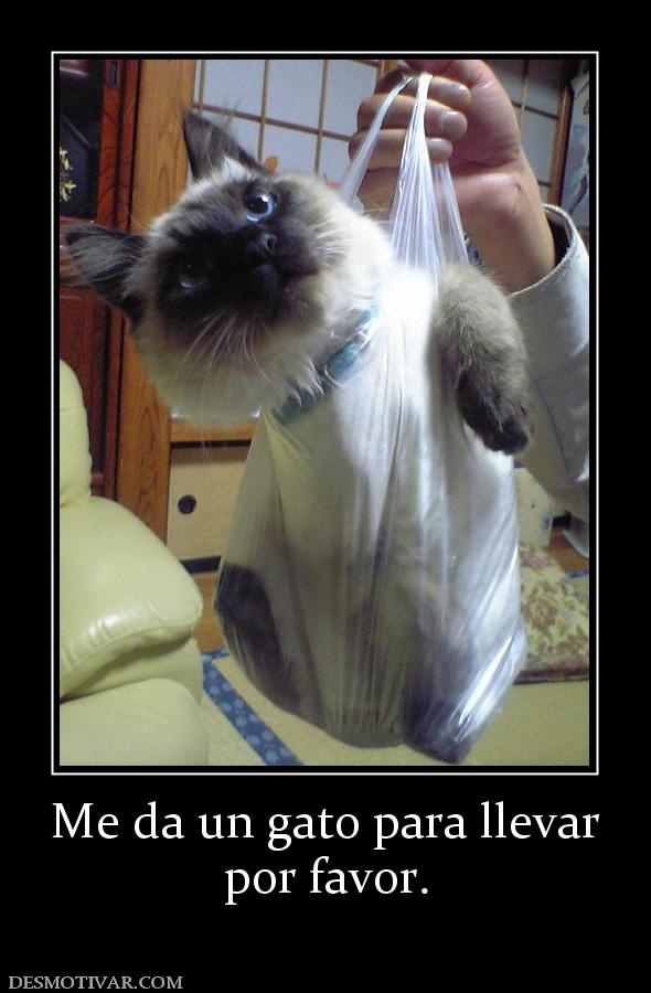 Me da un gato para llevar por favor.