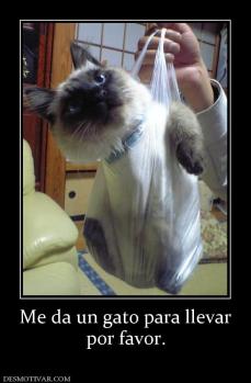 Me da un gato para llevar por favor.