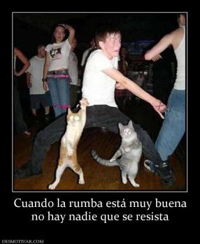 Cuando la rumba está muy buena no hay nadie que se resista