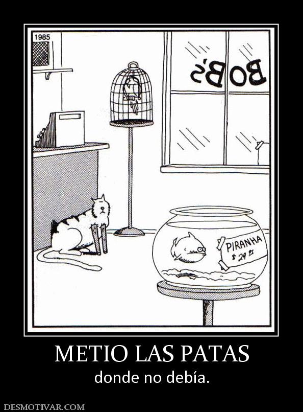 METIO LAS PATAS donde no debía.