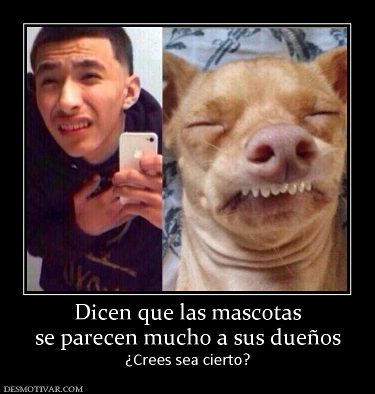 Dicen que las mascotas se parecen mucho a sus dueños ¿Crees sea cierto?