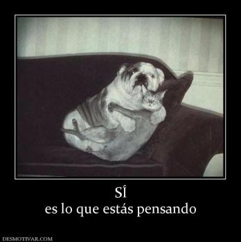 SÍ es lo que estás pensando