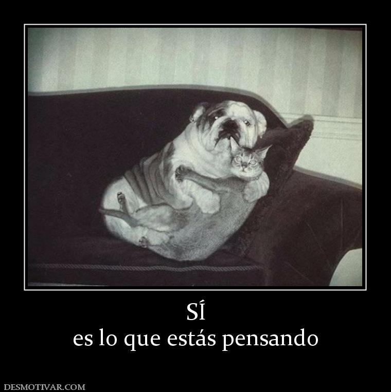 SÍ es lo que estás pensando