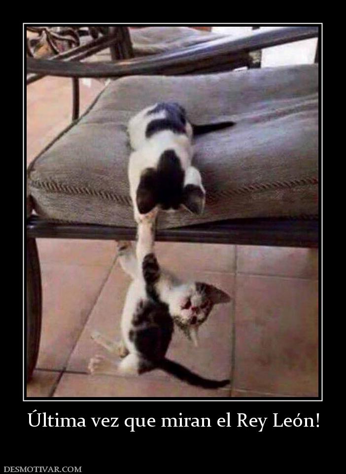 Última vez que miran el Rey León!