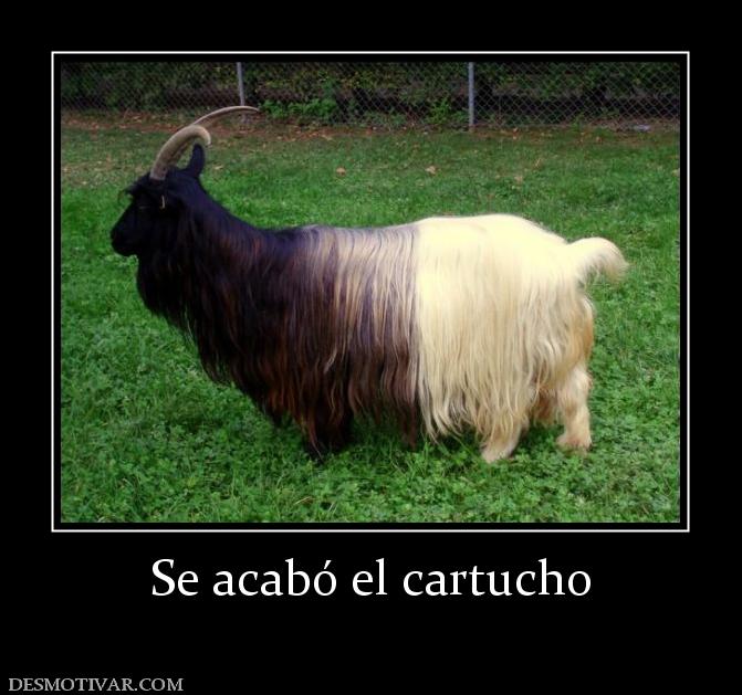 Se acabó el cartucho