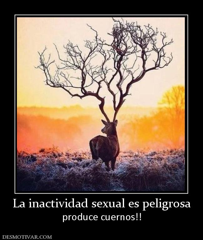 La inactividad sexual es peligrosa produce cuernos!!