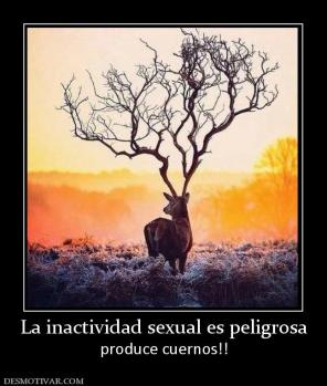 La inactividad sexual es peligrosa produce cuernos!!
