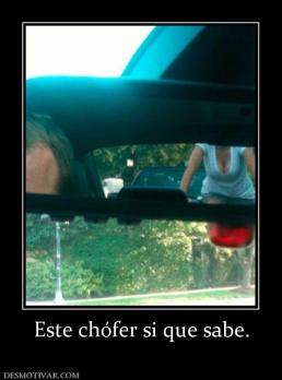 Este chófer si que sabe.