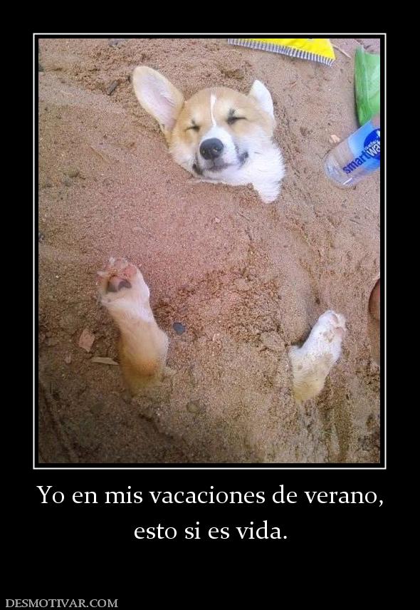 Yo en mis vacaciones de verano, esto si es vida.
