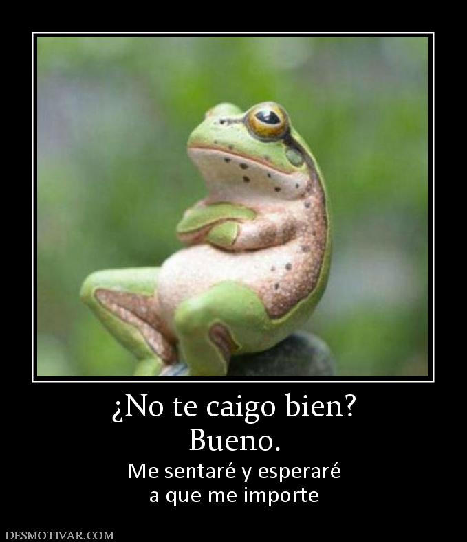 ¿No te caigo bien? Bueno. Me sentaré y esperaré a que me importe