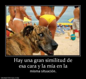 Hay una gran similitud de esa cara y la mía en la  misma situación.