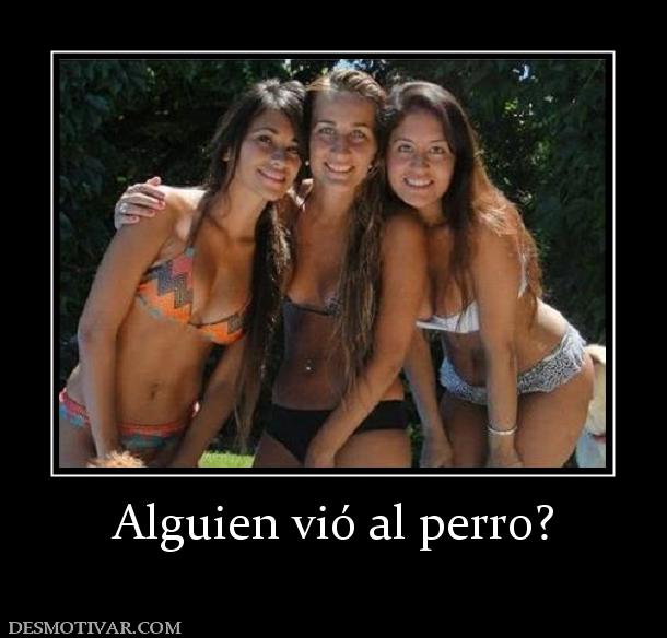 Alguien vió al perro?