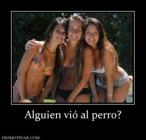 Alguien vió al perro?