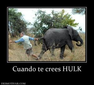 Cuando te crees HULK