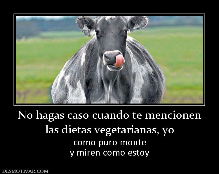No hagas caso cuando te mencionen las dietas vegetarianas, yo como puro monte y miren como estoy