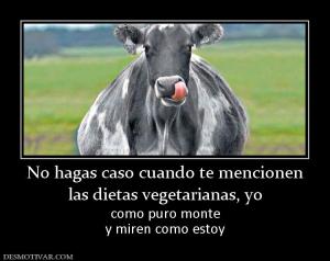 No hagas caso cuando te mencionen las dietas vegetarianas, yo como puro monte y miren como estoy