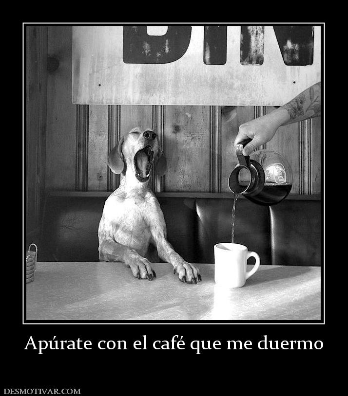 Apúrate con el café que me duermo