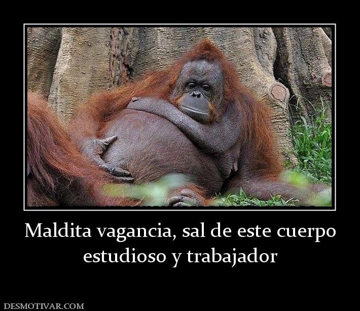 Maldita vagancia, sal de este cuerpo estudioso y trabajador