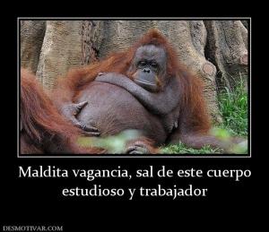 Maldita vagancia, sal de este cuerpo estudioso y trabajador