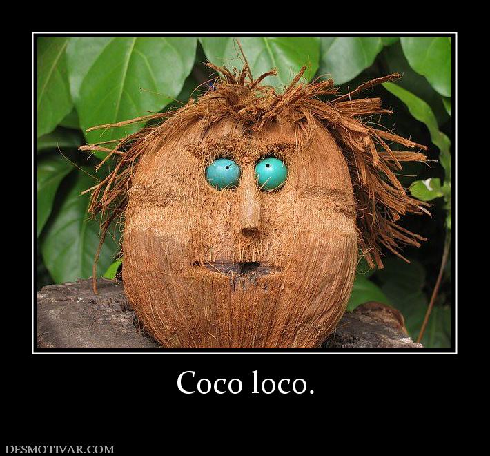 Coco loco.